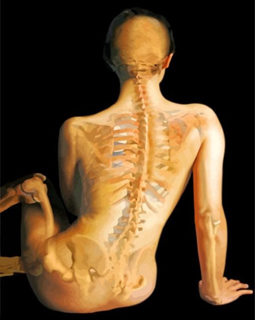 Back Bones Art paint by number