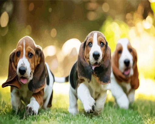 Basset Hound Puppies Dogs paint by numbers