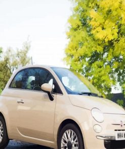 Beige Fiat 500 Car paint by numbers