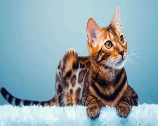 Bengal Cat Animal paint by number