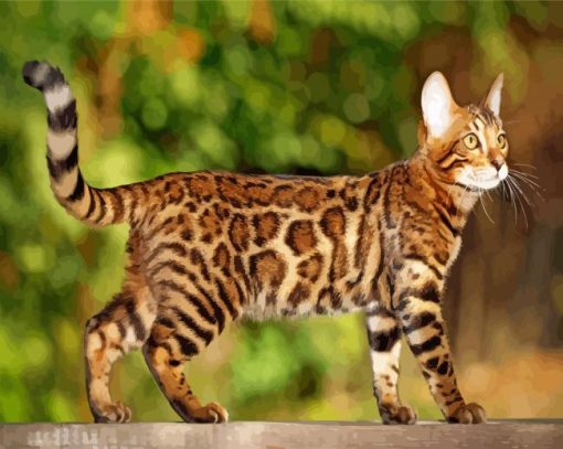 Bengal Cat paint by number