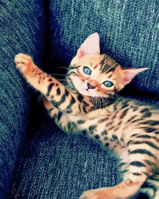 Bengal Kitten paint by numbers