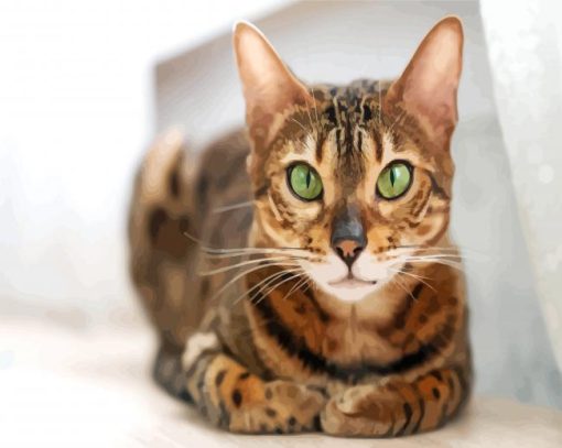 Bengal With Green Eyes paint by numbers