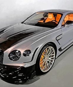 Bentley Continenttal GT paint by numbers