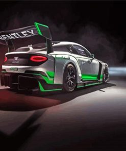 Bentley Racing Car paint by number