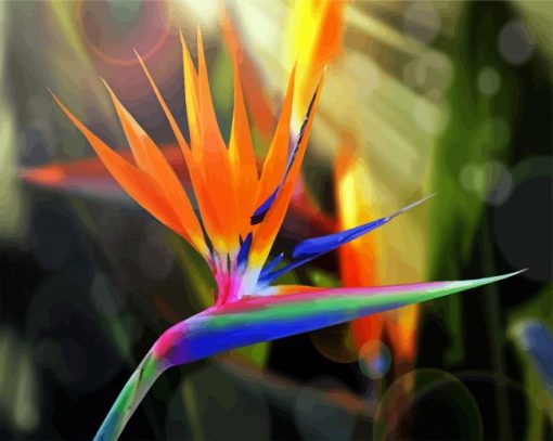 Bird Of Paradise paint by number