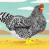 Black And White Hen paint by numbers