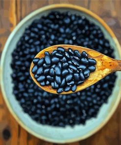 Black Beans paint by numbers