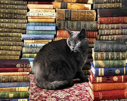 Black Cat Sitting Next To The Bookshelf paint by numbers