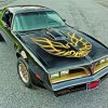 Black Classic Firebird Car paint by number