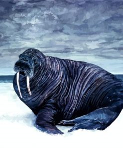 Black Walrus paint by numbers