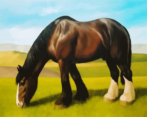 Black White Shire Horse paint by number