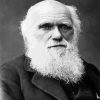 Black And White Charles Darwin paint by numbers