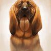 Bloodhound Dog Art paint by numbers