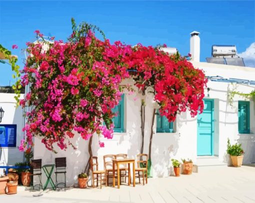 Blooming Bougainvillea Flowers paint by number