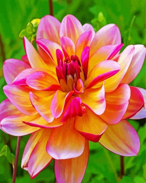 Blooming Dahlia paint by numbers