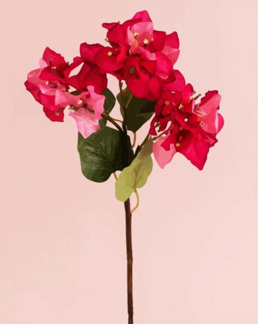 Blooming Pink Bougainvillea paint by numbers