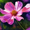 Blooming Pink Cosmos paint by number