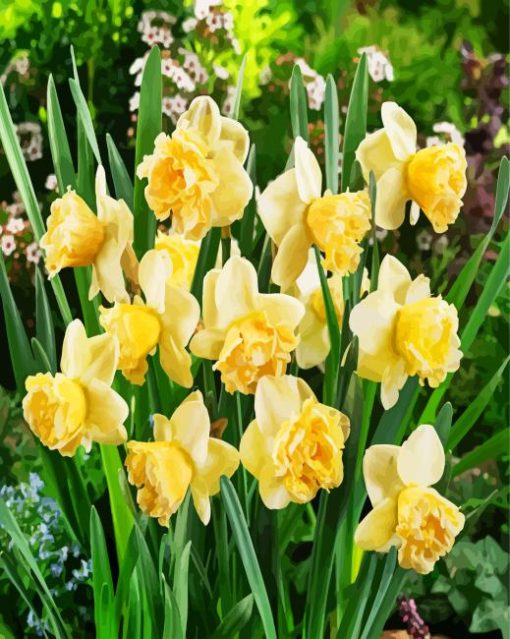 Blooming Daffodils Plant paint by numbers