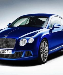 Blue Luxury Car paint by numbers