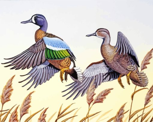 Blue Winged Teal Art paint by numbers