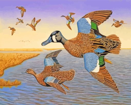 Blue Winged Teal Birds Flying paint by numbers