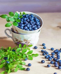 Blueberry Cup paint by number