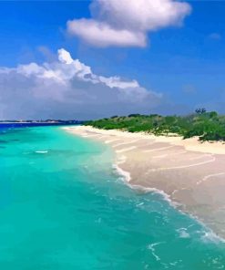 Bonaire Island Beach paint by number