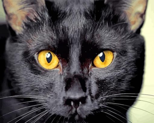 Bombay Cat Head paint by number