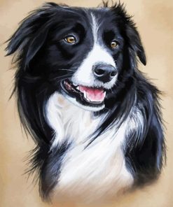 Border Collie Art paint by numbers