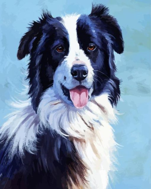 Border Collie Dogs Art paint by number