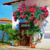 Bougainvillea House paint by numbers