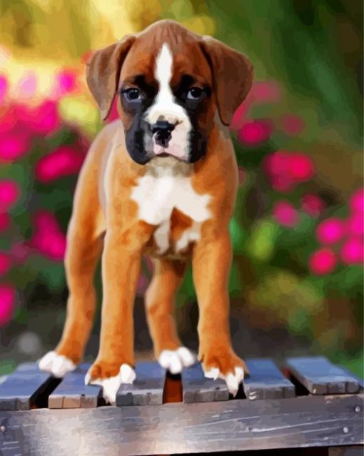 Boxer Puppy paint by number