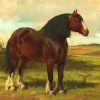 Brown Shire Horse paint by number