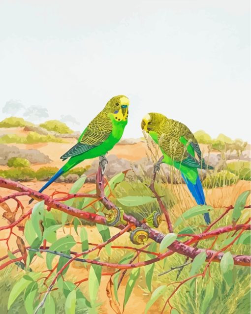 Budgie Birds On Tree paint by numbers