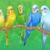 Budgies Birds On Stick paint by numbers