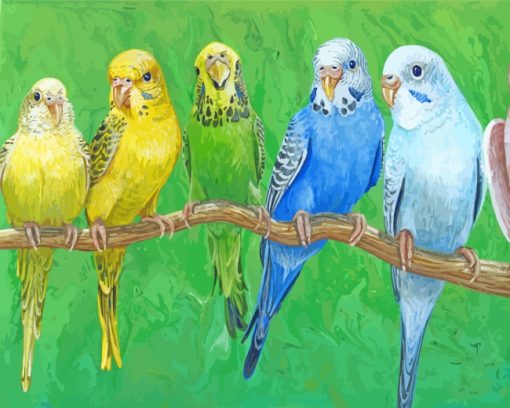 Budgies Birds On Stick paint by numbers