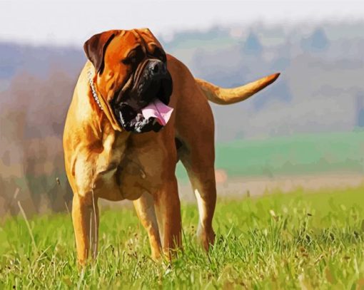 Bullmastiff Dog paint by numbers