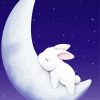 Bunny On Moon paint by numbers