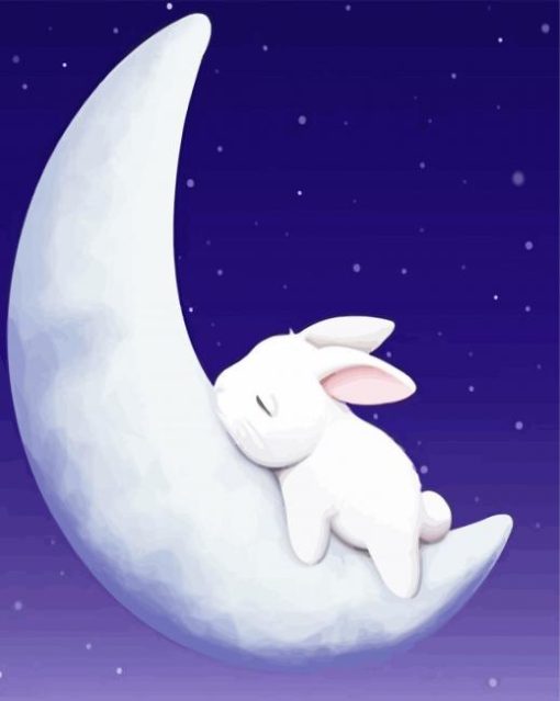 Bunny On Moon paint by numbers