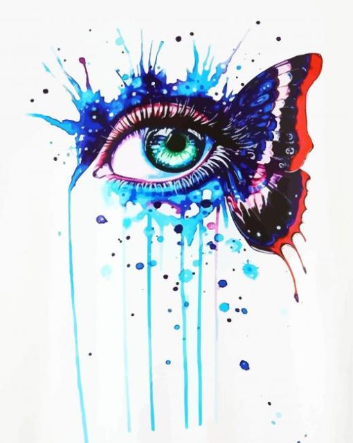 Butterfly Splash Eye paint by numbers