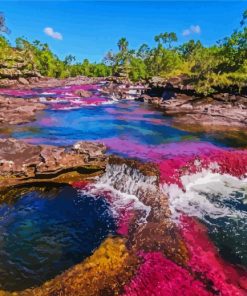 Cano Cristales Columbia paint by numbers