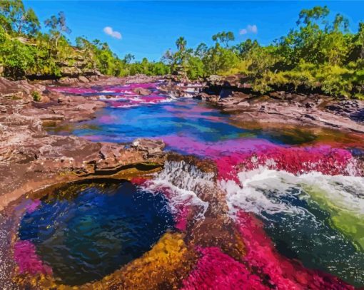 Cano Cristales Columbia paint by numbers