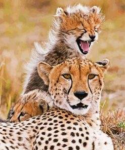 Cheetah And Young Cub paint by number