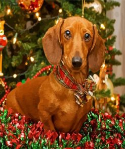 Christmas Dachshund Dog paint by number