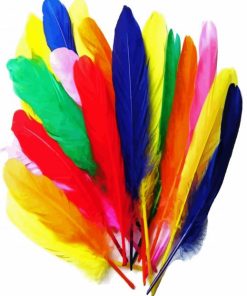 Colorful Bird Feathers paint by number