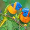 Colorful Lorikeet Birds paint by numbers