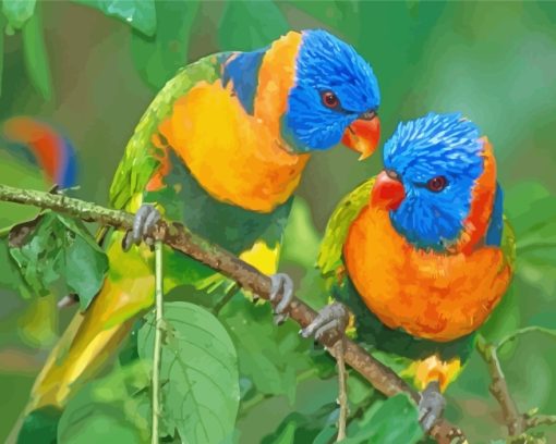 Colorful Lorikeet Birds paint by numbers