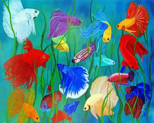 Colourful Siamese Fish paint by numbers