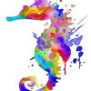 Colorful Splatter Seahorse paint by numbers